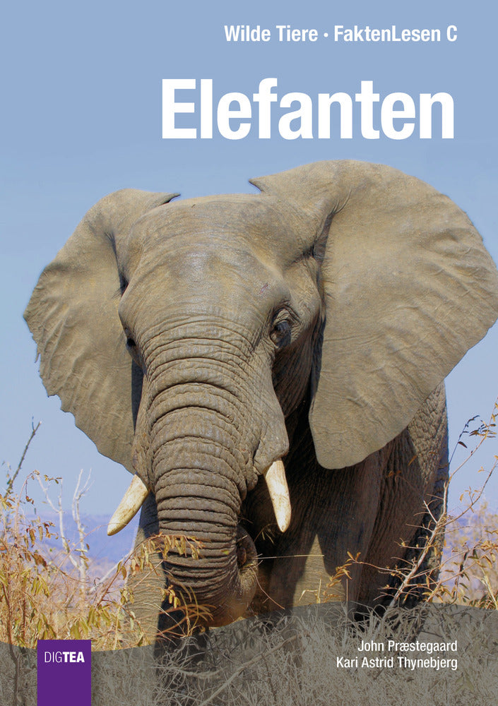 Elefanten