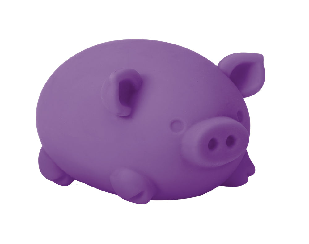 NeeDoh dig it pig asst