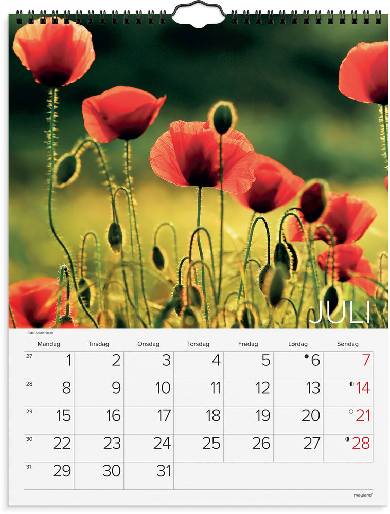 Kalender 2024 dansk natur