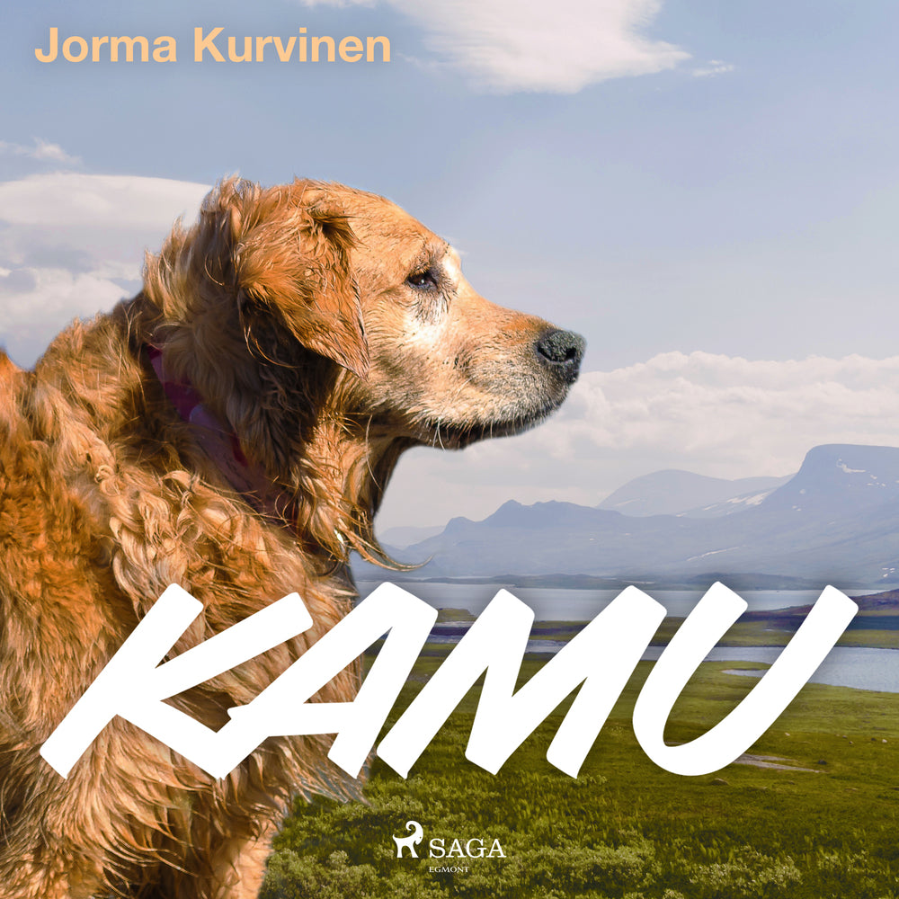 Kamu