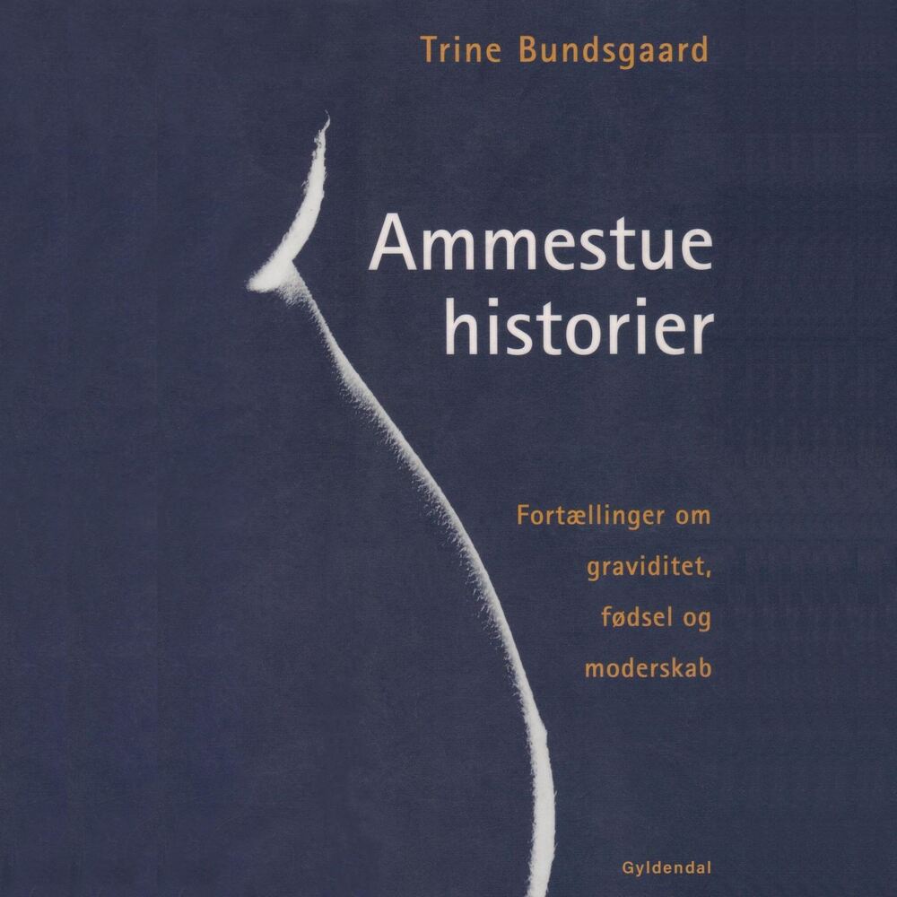 Ammestuehistorier