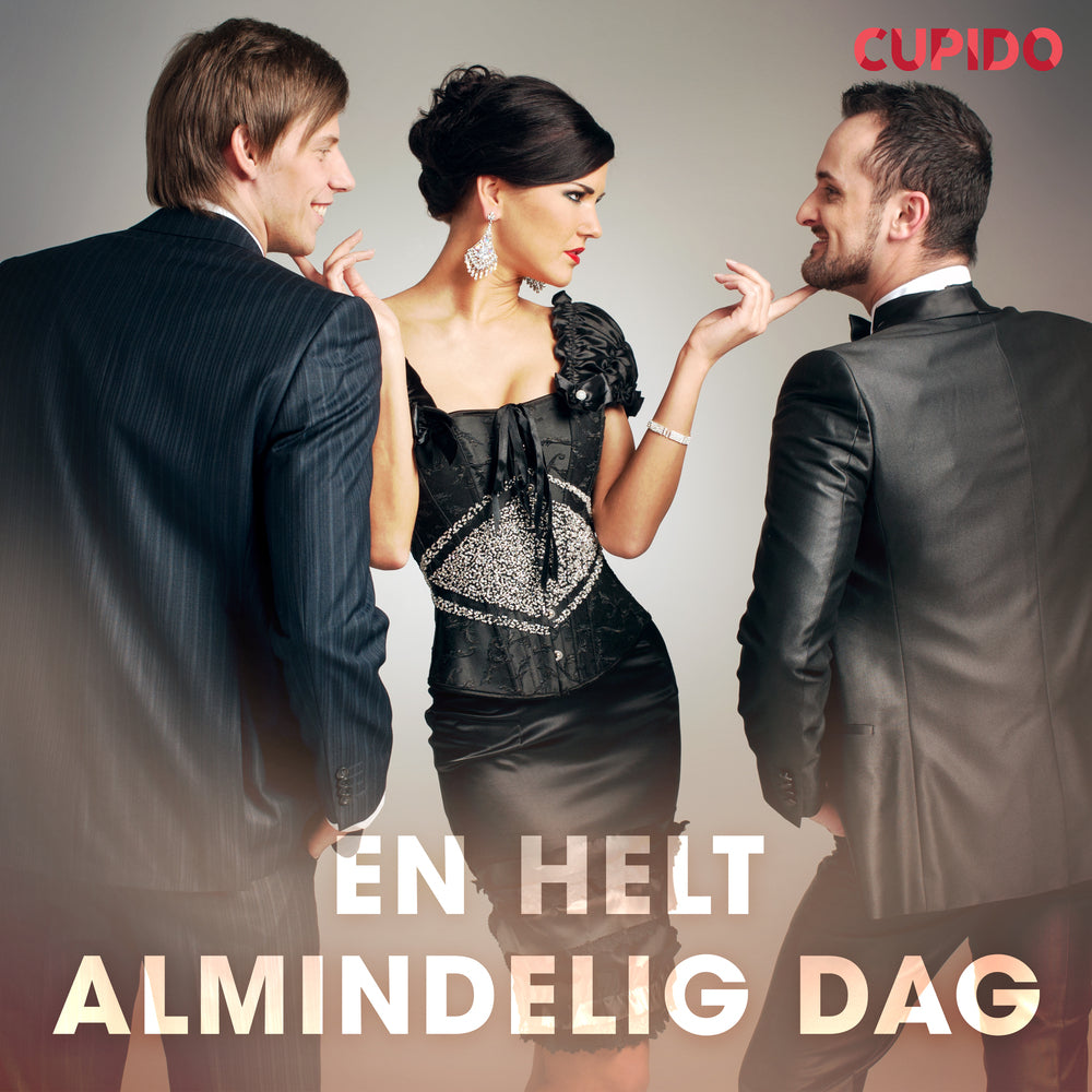 En helt almindelig dag – erotiske noveller