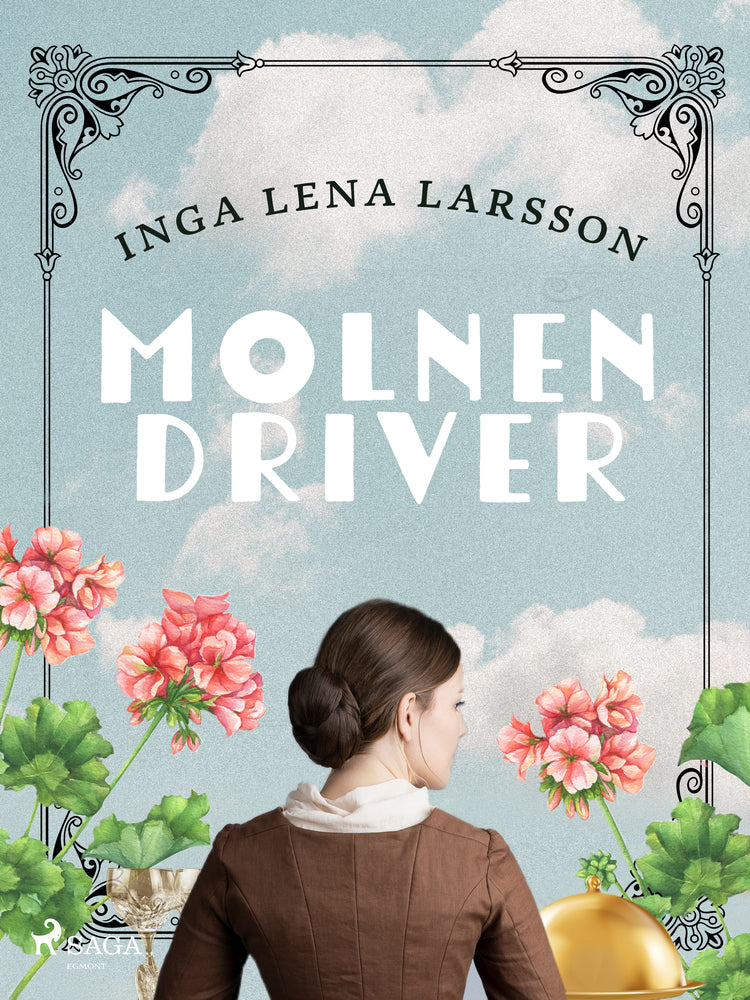 Molnen driver