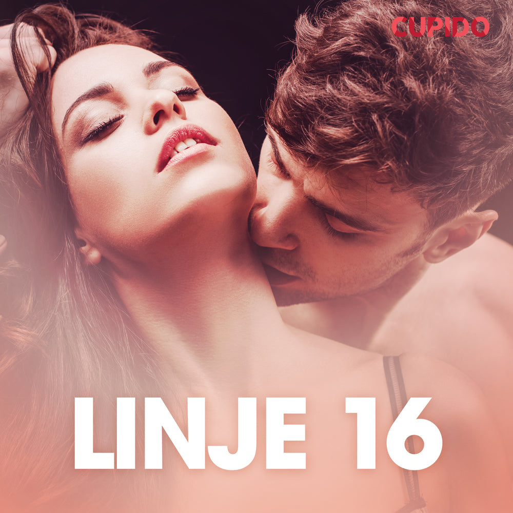 Linje 16 – erotisk novell