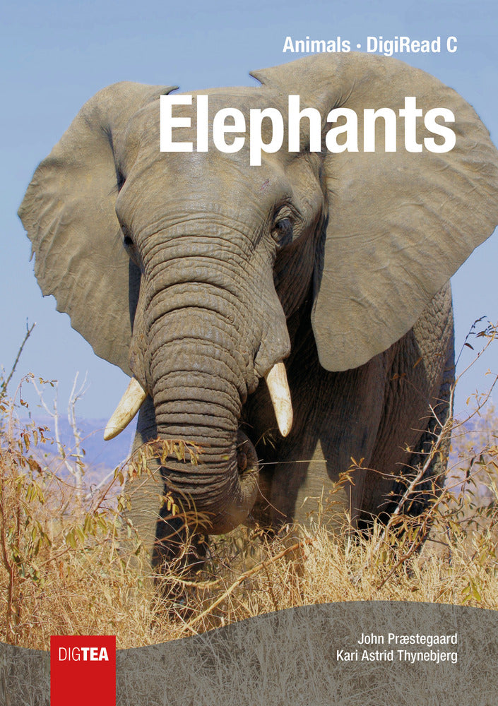 Elephants