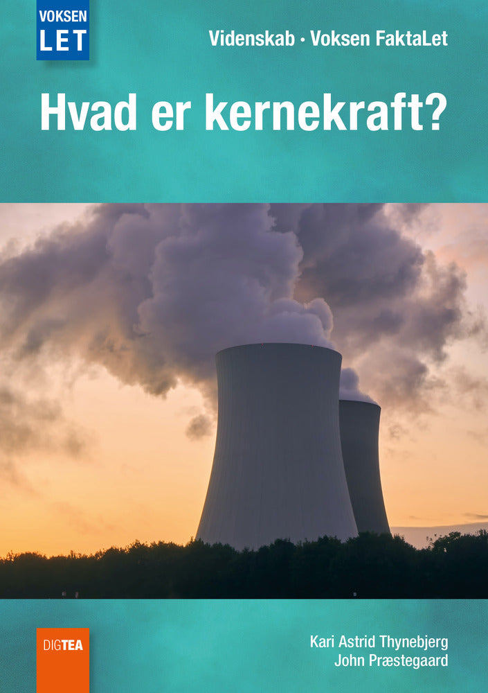 Hvad er kernekraft?