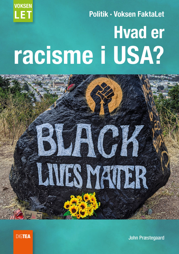 Hvad er racisme i USA?