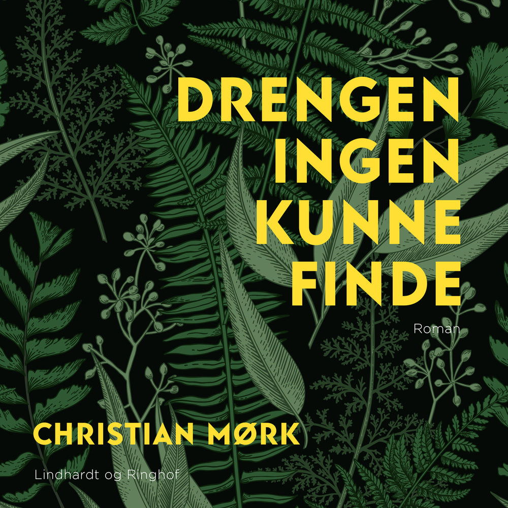 Drengen ingen kunne finde