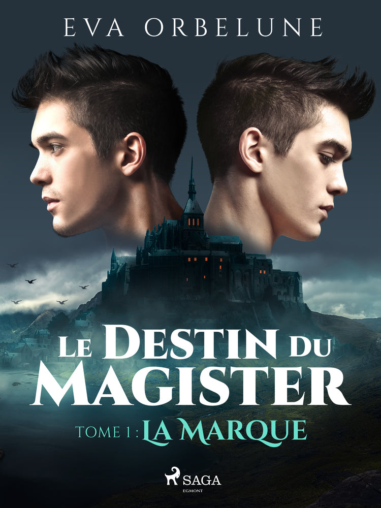 Le Destin du Magister - Tome 1 : La Marque