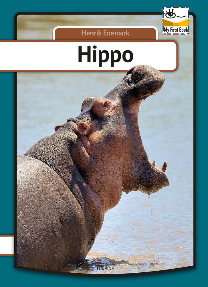 Hippo