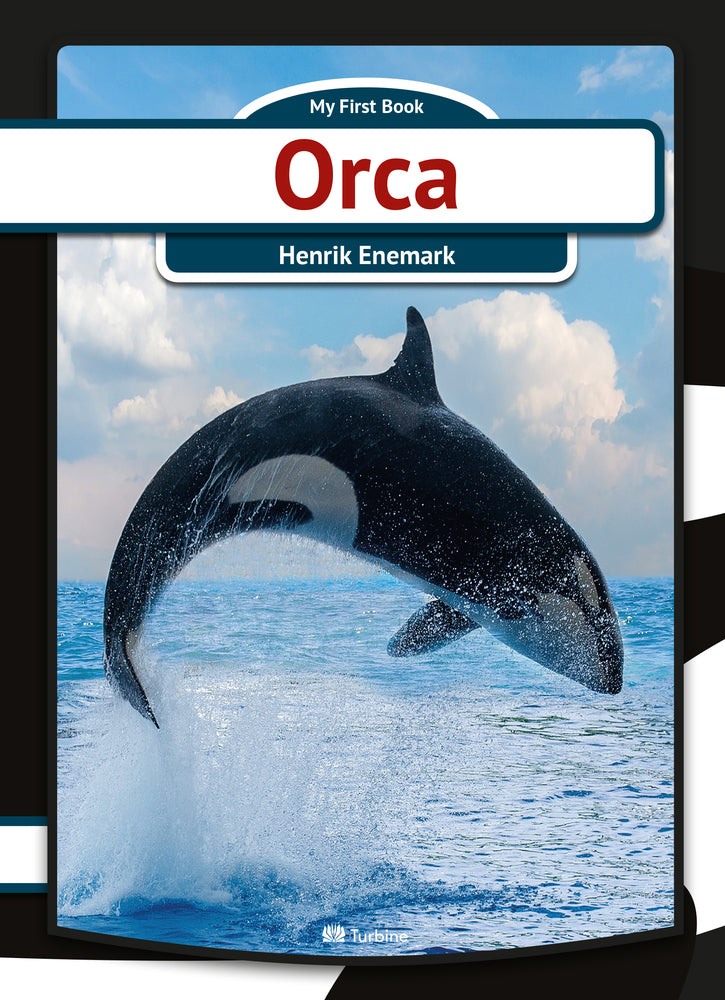 Orca