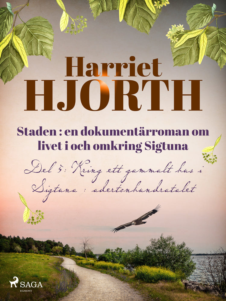 Staden : en dokumentärroman om livet i och omkring Sigtuna
