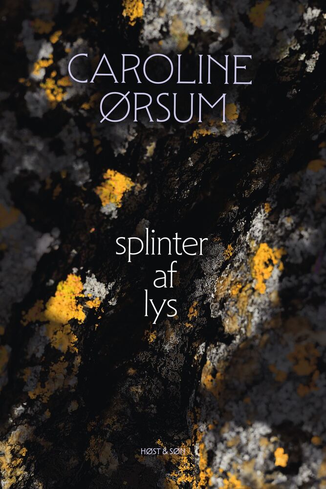 splinter af lys