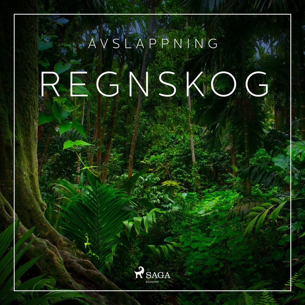Avslappning - Regnskog