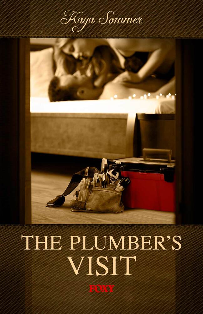 The Erotic Choice: The Plumber's Visit