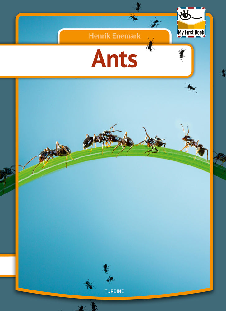 Ants