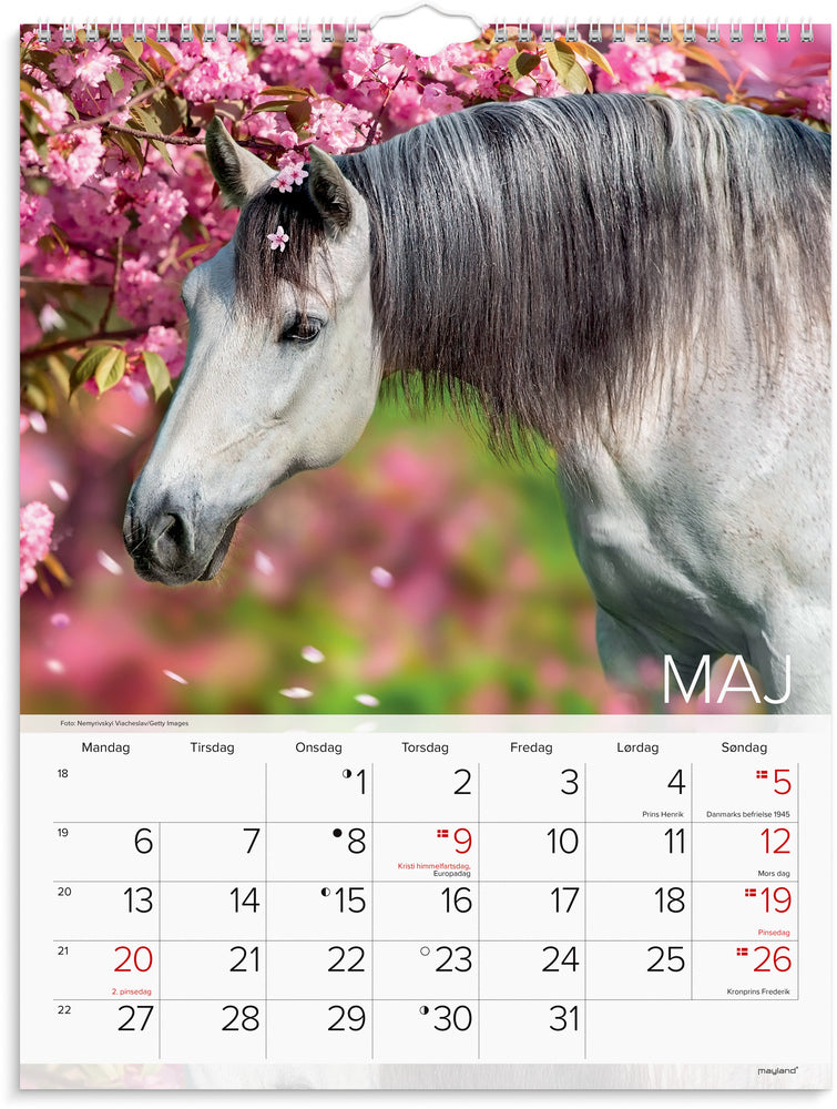 Vægkalender 2024 heste