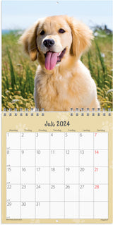 Vægkalender 2024 hundehvalpe
