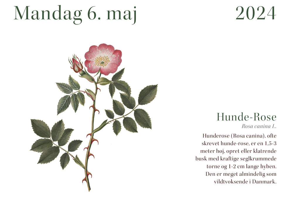 Flora Danica-kalender 2024