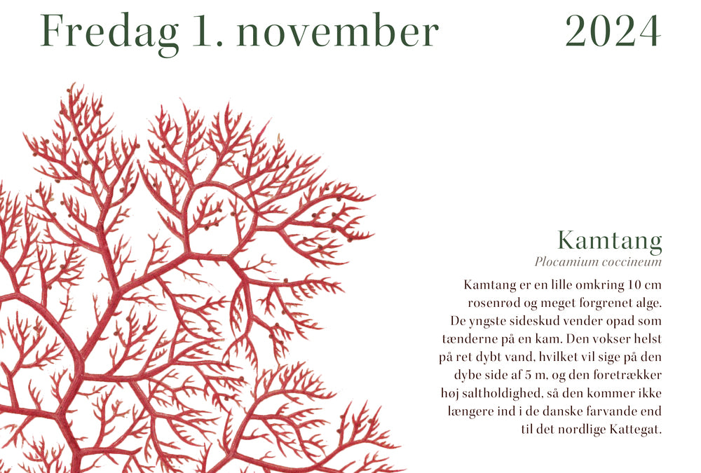 Flora Danica-kalender 2024