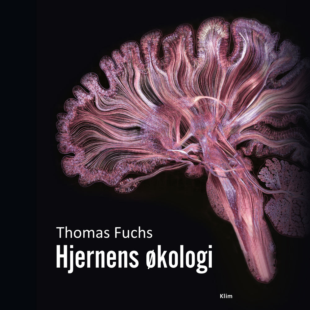 Hjernens økologi