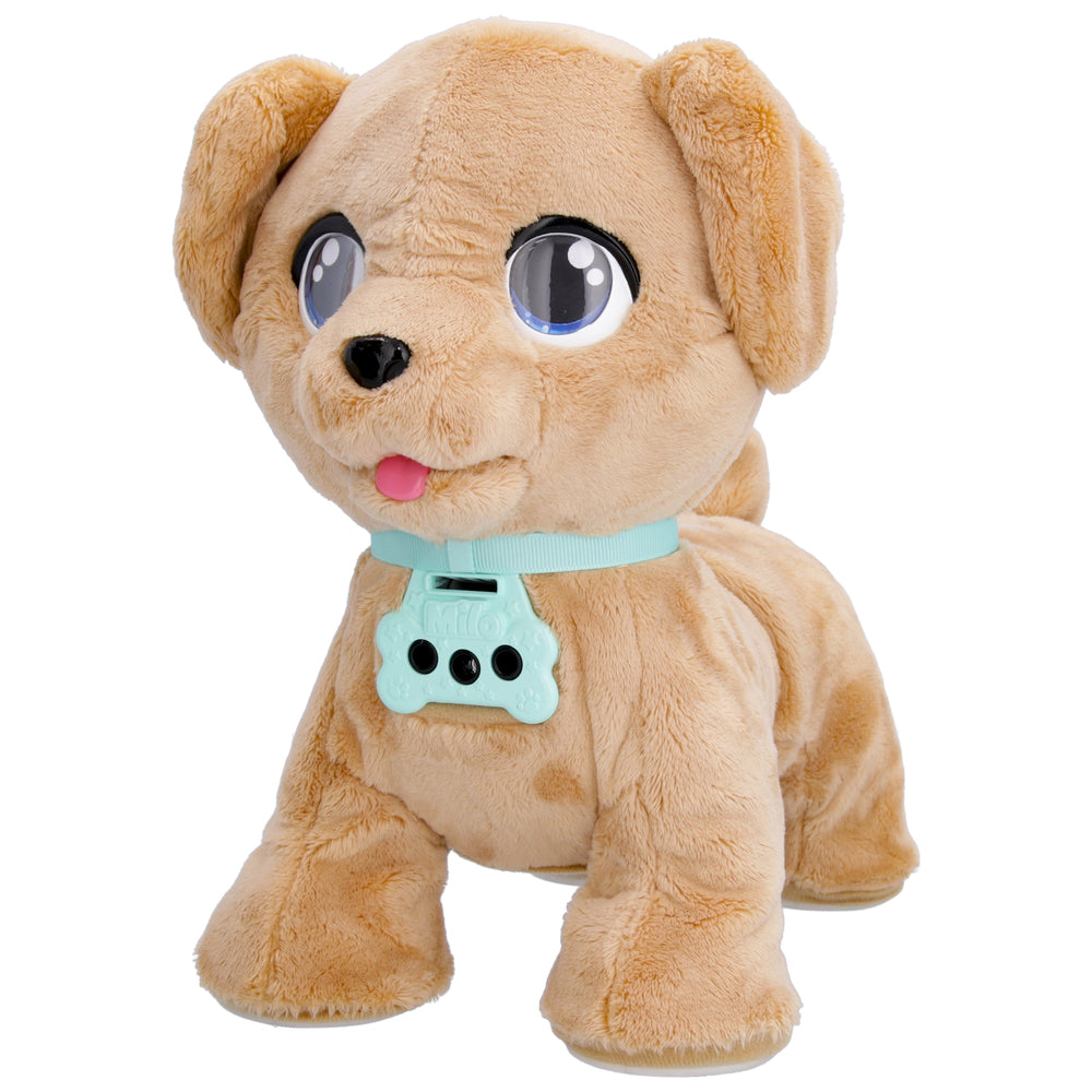 Club Petz Hunden Milo