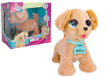 Club Petz Hunden Milo