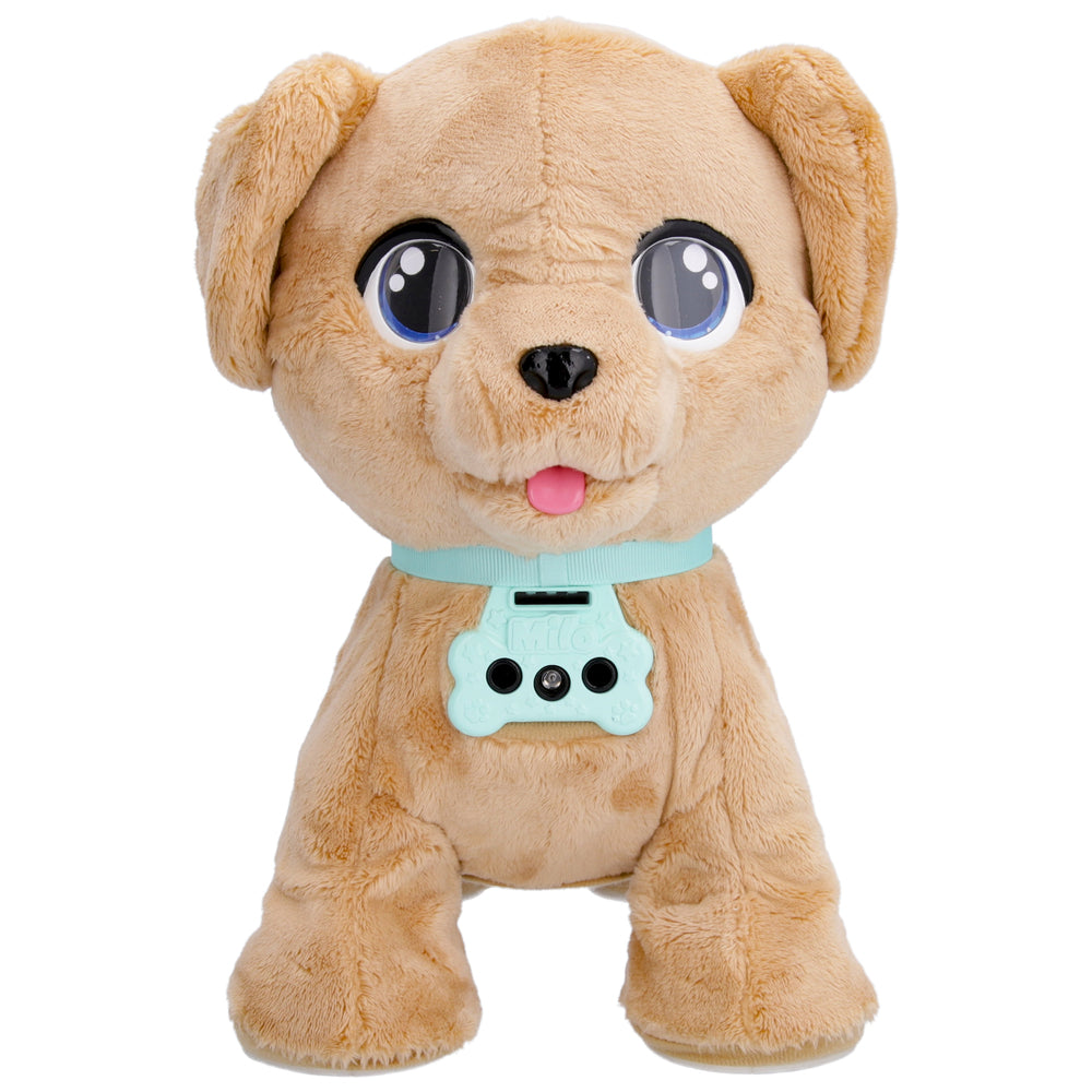 Club Petz Hunden Milo