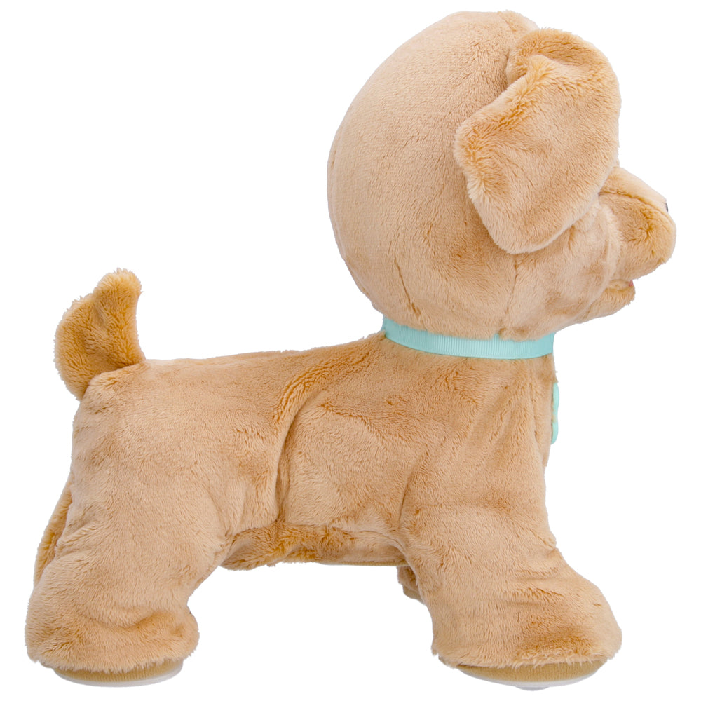 Club Petz Hunden Milo