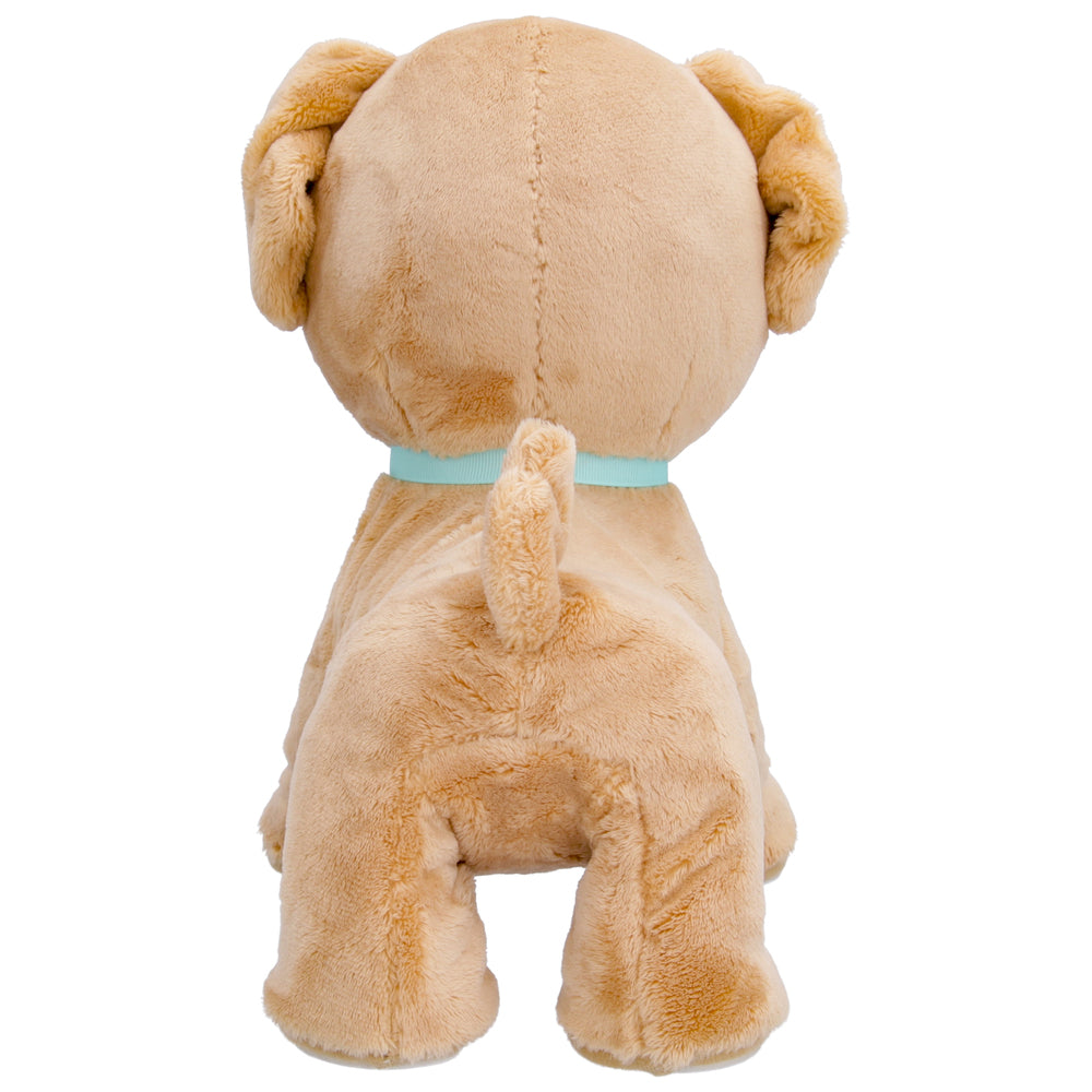 Club Petz Hunden Milo