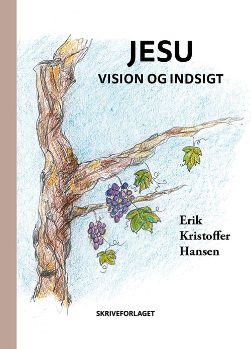Jesu vision og indsigt