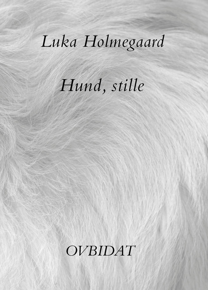 Hund, stille