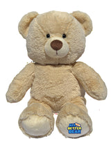 All Better Bear interactive