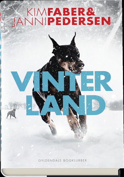 Vinterland