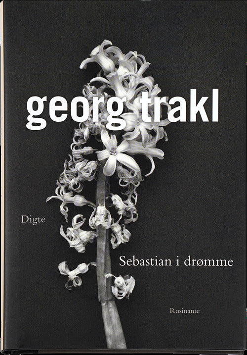Sebastian i drømme