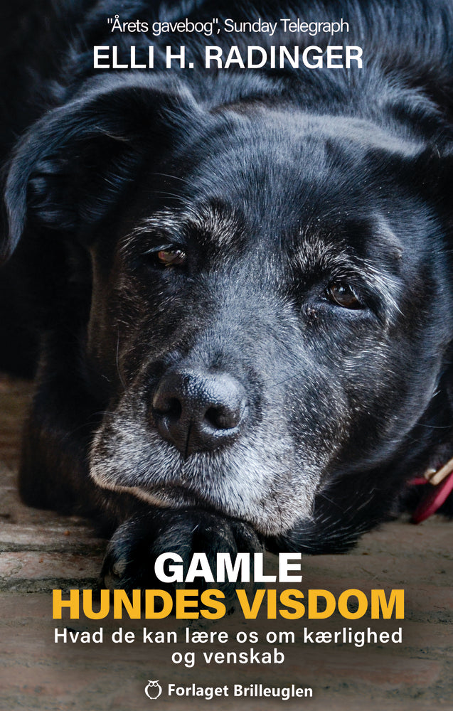 Gamle hundes visdom