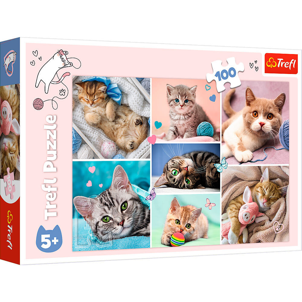 Puslespil In the cat world 100 brikker