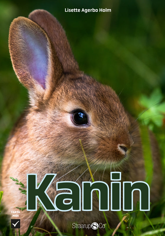 Kanin