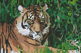 Diamond Art Tiger/blade 20x30 cm
