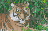 Diamond Art Tiger/blade 20x30 cm