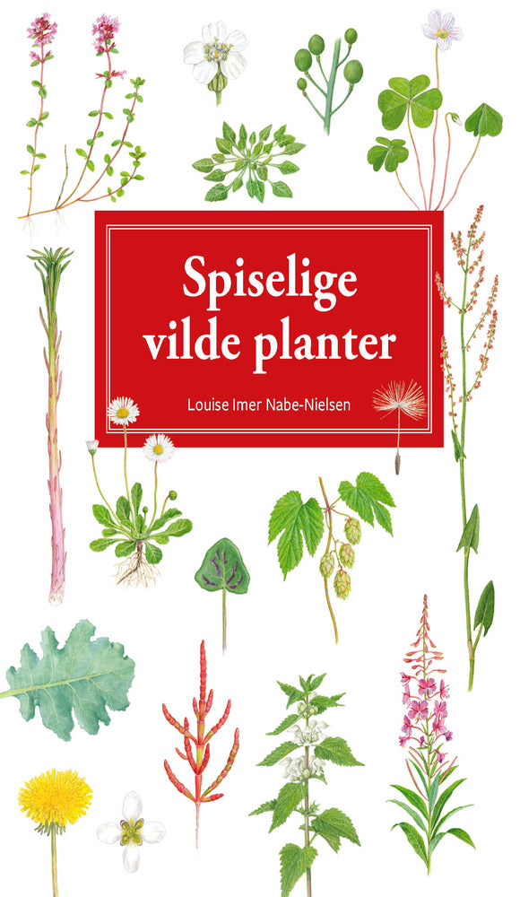 Spiselige vilde planter