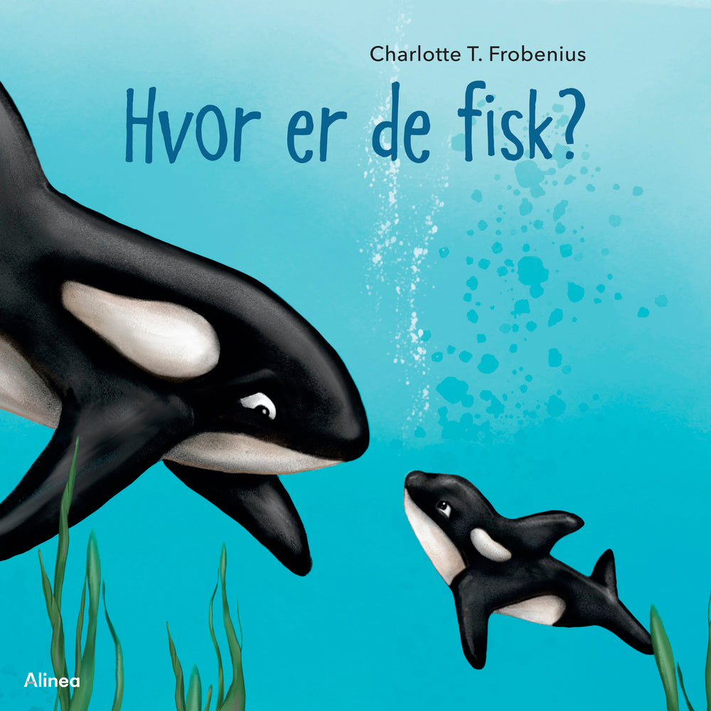 Hvor er de fisk?
