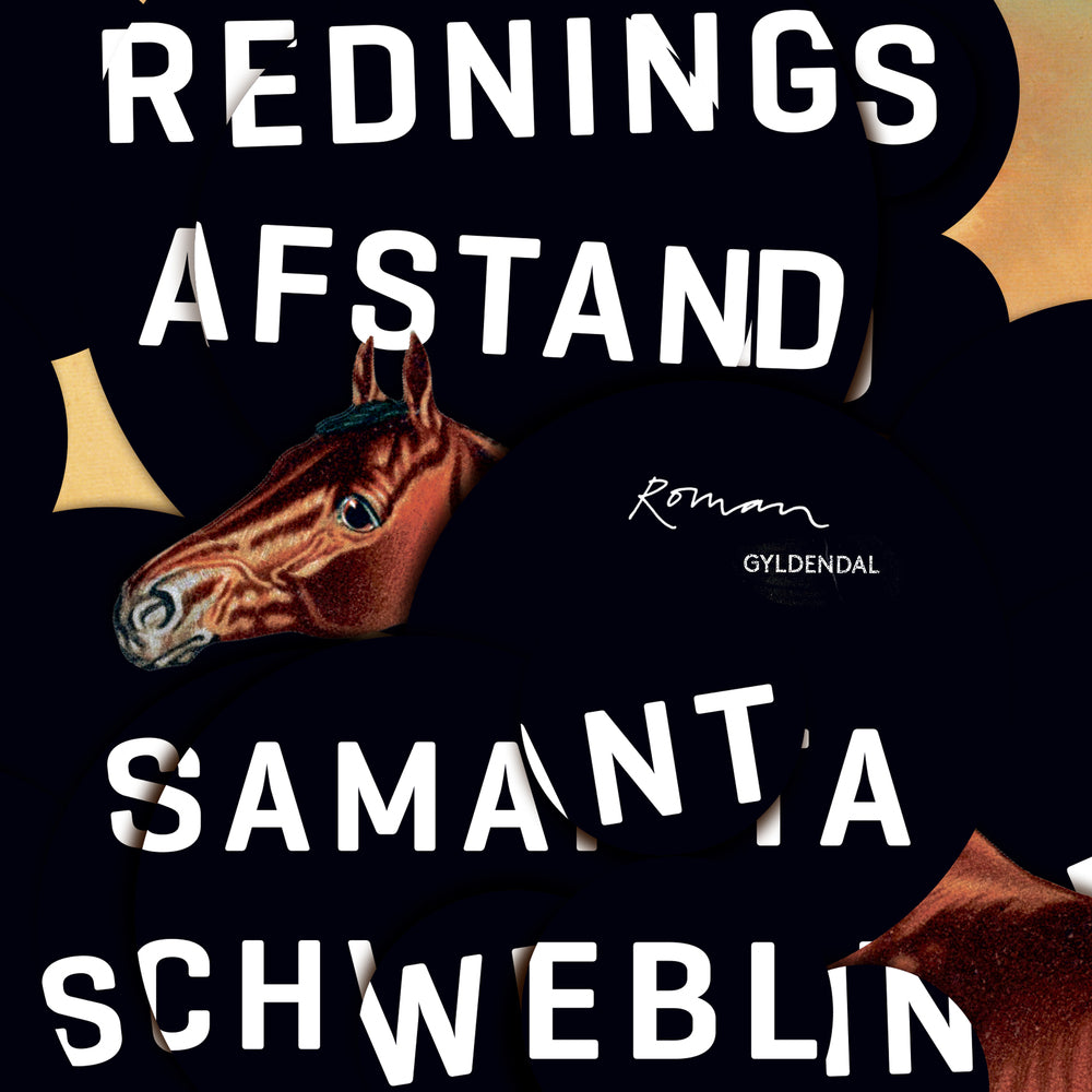 Redningsafstand