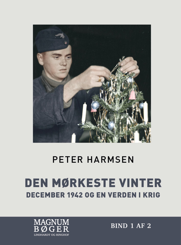 Den mørkeste vinter(Storskrift)