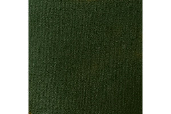 Basics 118Ml Hooker's Green Hue Permanent 224