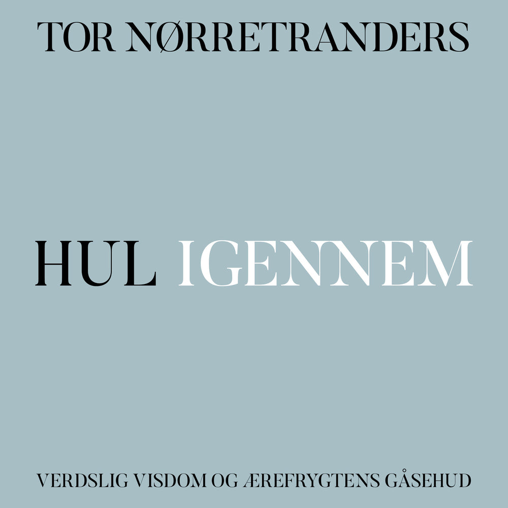 Hul igennem