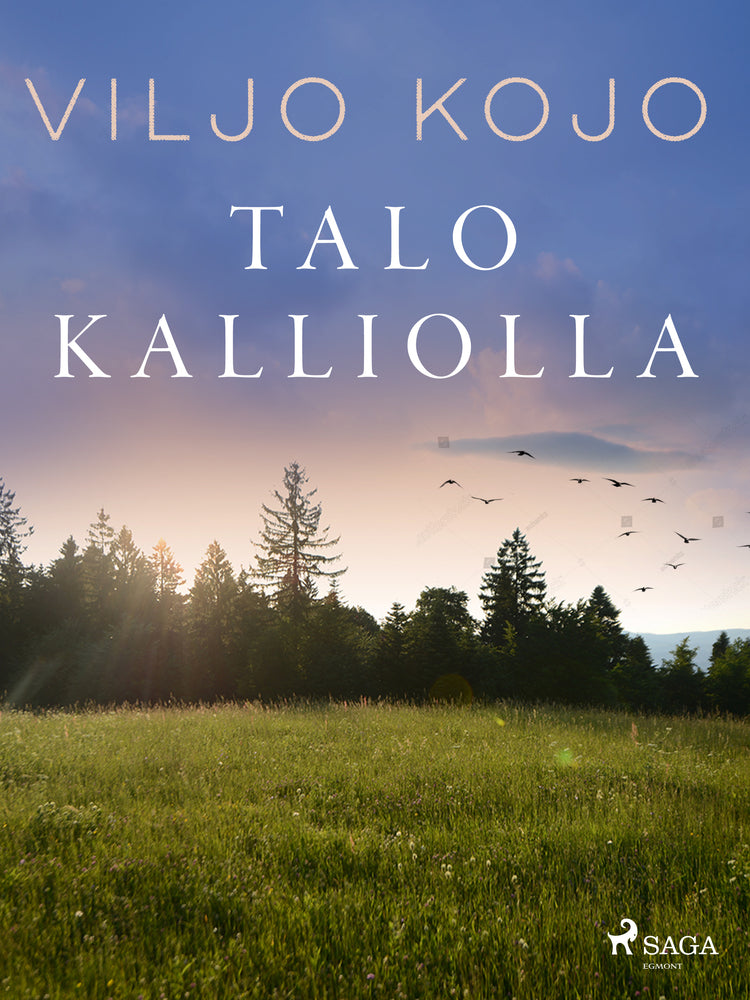 Talo kalliolla