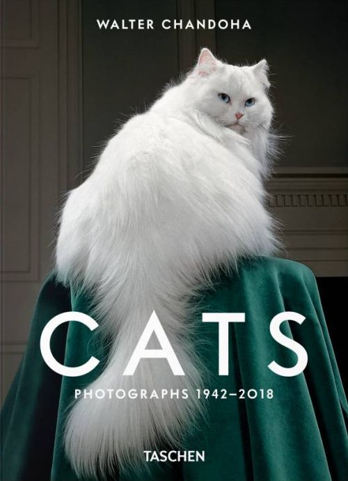 Walter Chandoha. Cats. Photographs 19422018