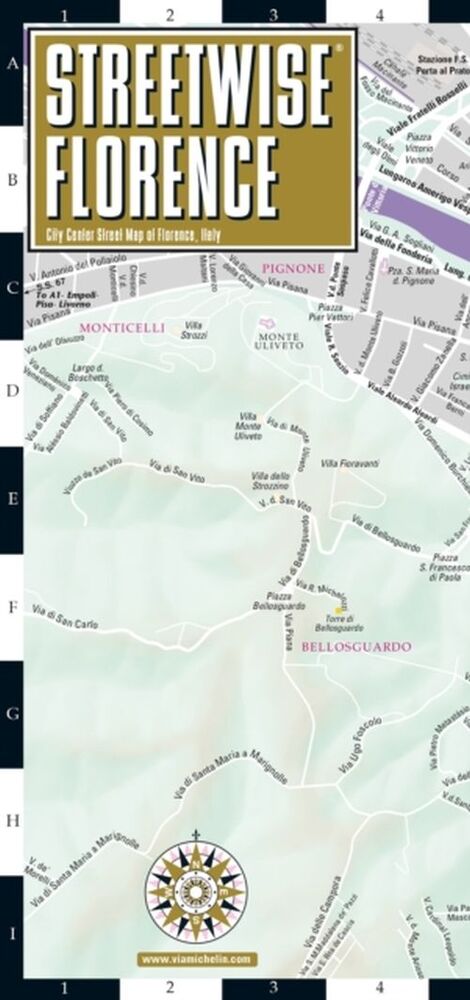 Florence Streetwise Map (Laminated)
