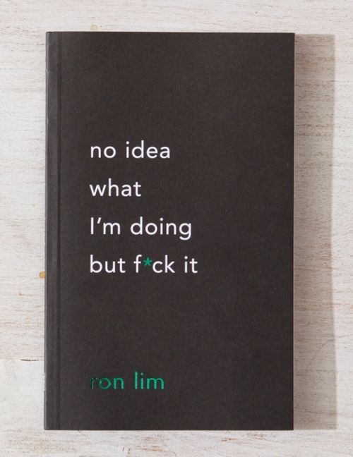 No Idea What I'm Doing but F*ck It
